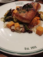 Salmon